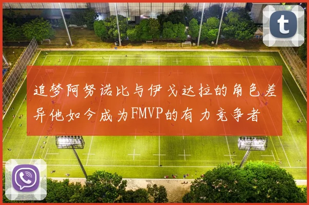 追梦阿努诺比与伊戈达拉的角色差异他如今成为FMVP的有力竞争者